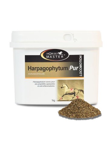 Pot de 1 kg de Harpagophytum Pur Horse Master