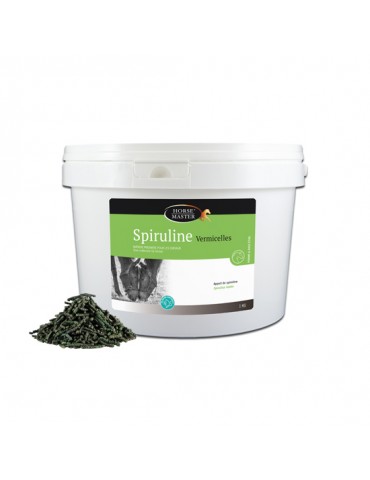 Seau de Spiruline Vermicelles Horse Master