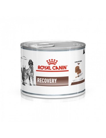 Boîte en métal de mousse Royal Canin Veterinary Diet Chat/Chat Recovery