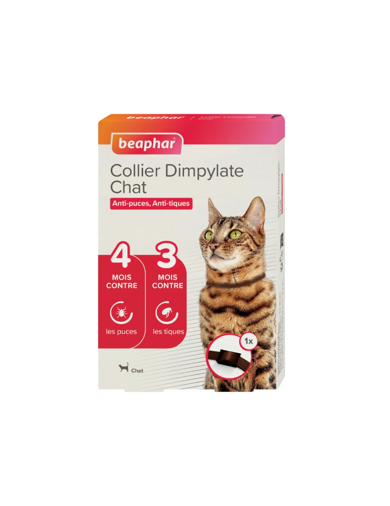 Collier beaphar dimpylate pour chat