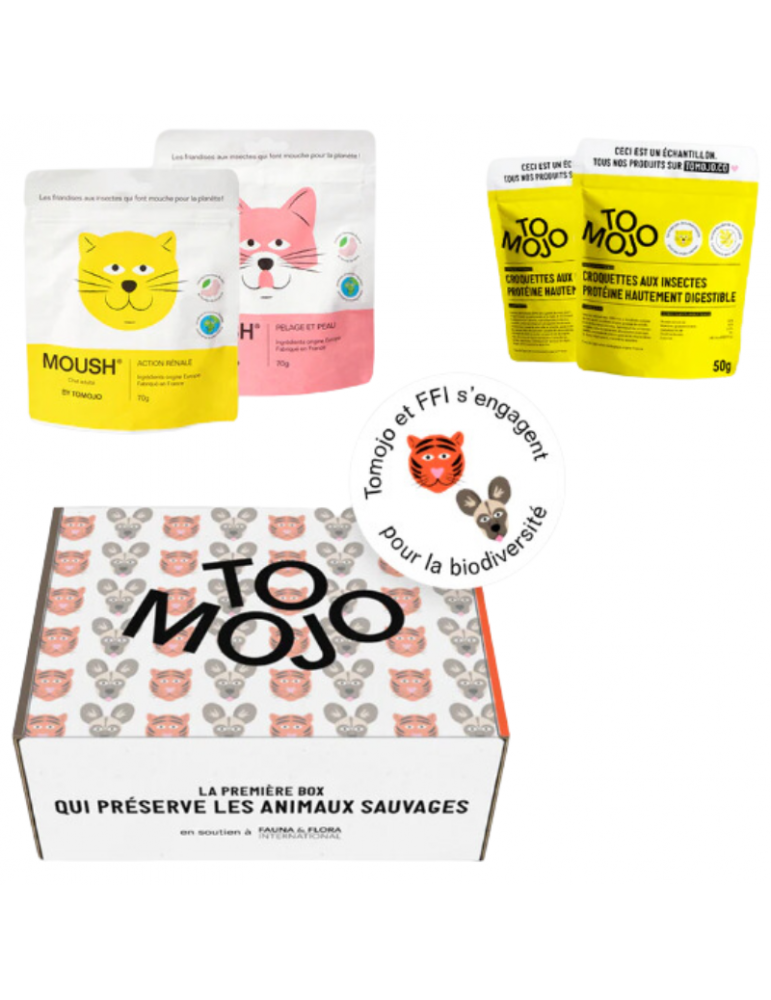 Coffret Découverte Tomojo Chat