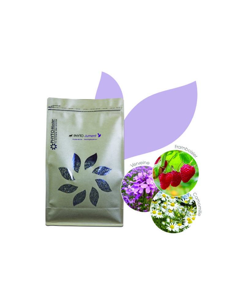 herbes sèches Phyto Jument en sachet de 1 kg