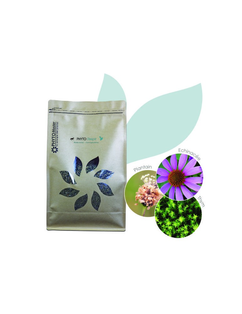 herbes sèches Phyto Respir en sachet de 1 kg