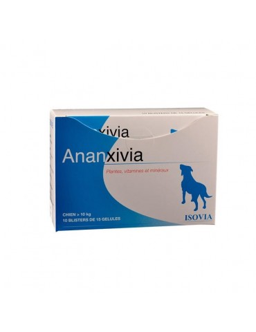 Boîte bleu d'Ananxivia pour grand chien