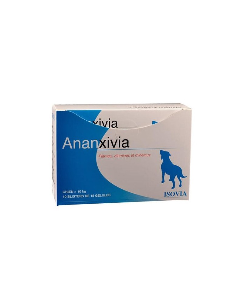 Boîte bleu d'Ananxivia pour grand chien