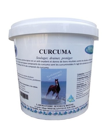 Pot de Curcuma Poudre 1kg