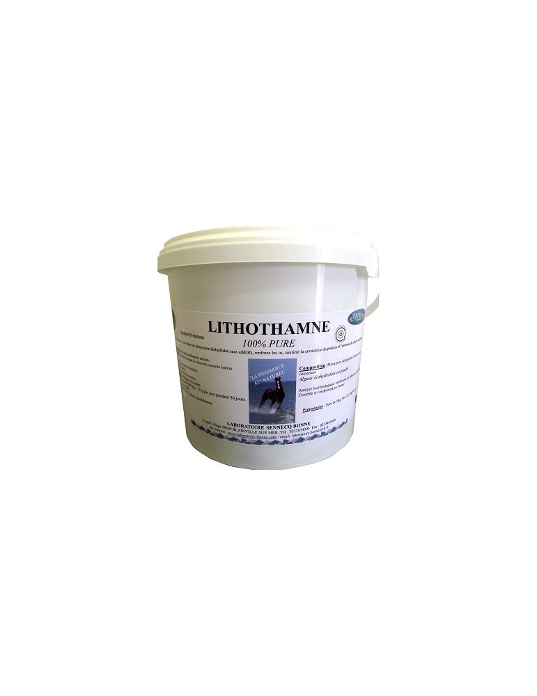 Seau de Lithomane 100% Pure 1kg Bonne