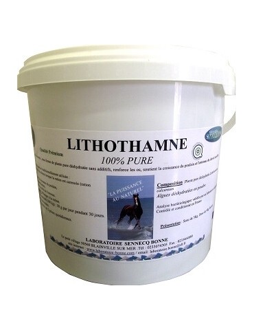 Seau de Lithomane 100% Pure 1kg Bonne