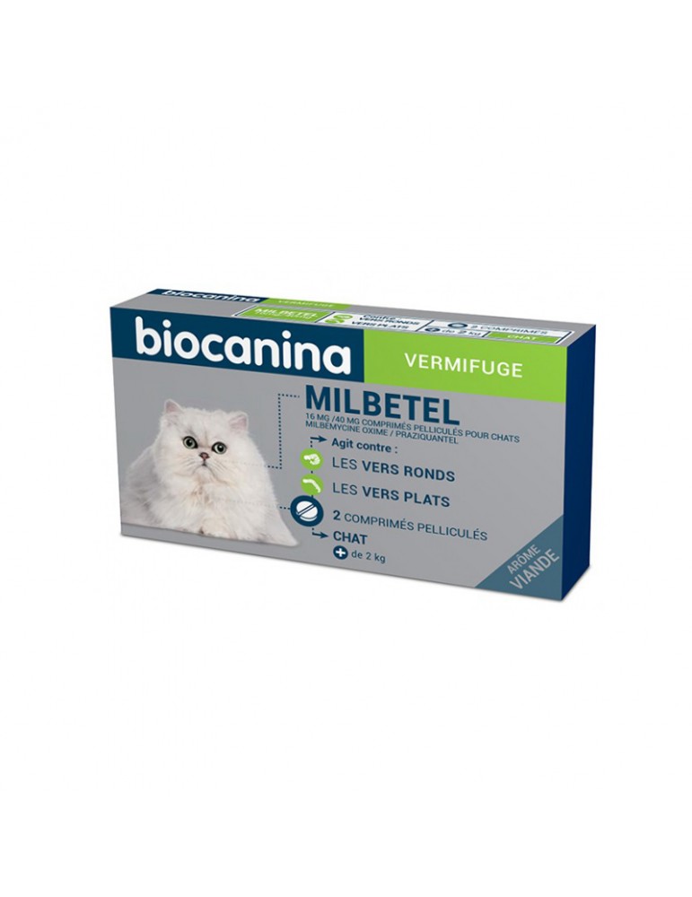 Milbetel Chat Milbetel Chat