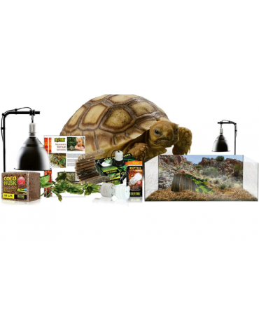Kit pour tortue