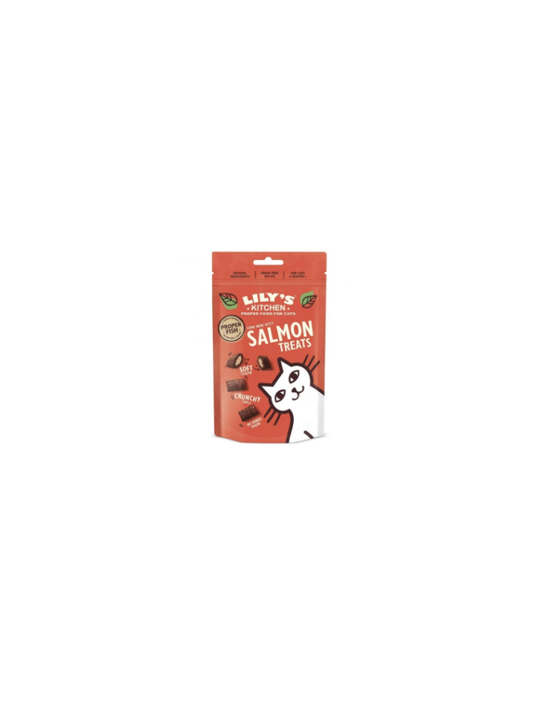 Sachet de friandises Lily's Kitchen au saumon pour chats