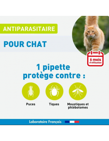 Information protection du produit pipette antiparasitaire pour chat vetoform X6
