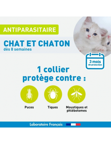 Description produit collier chat et chaton vetoform