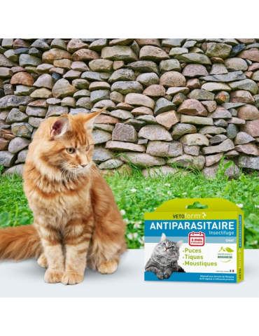 Chat à côté du produit Pipettes Antiparasitaires Chats vetoform X6