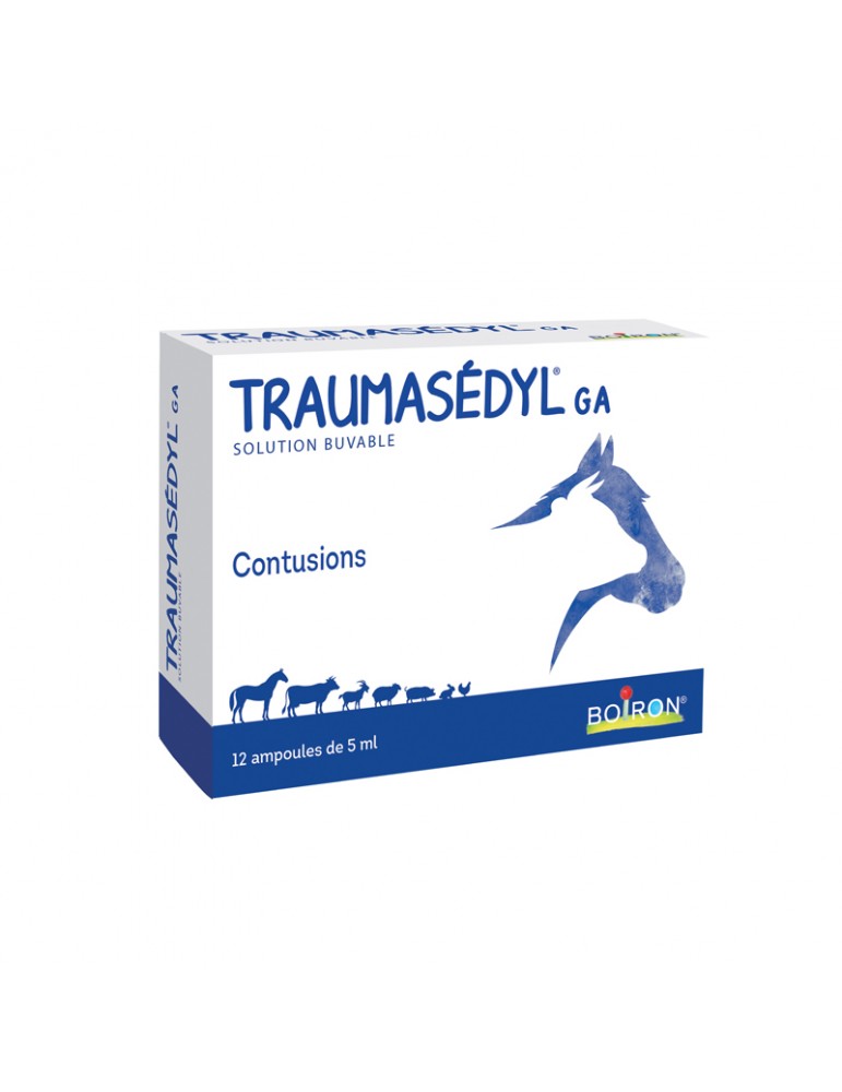 Boîte d'ampoules Traumasedyl pour Grand Animaux Boîte d'ampoules Traumasedyl pour Grand Animaux