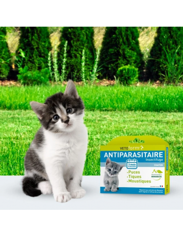 Chaton à côté du produit pipette antiparasitaire vetoform pour chaton