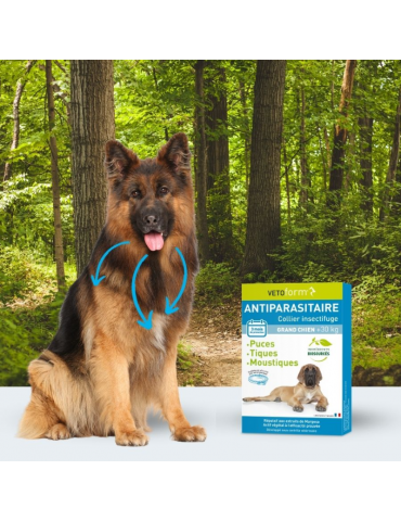 Chien à côté du produit collier antiparasitaire pour grand chien vetoform