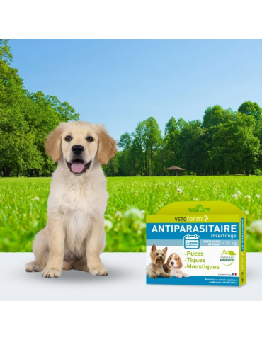 chiot à côté du produit pipette antiparasitaire vetoform pour chiot et petit chien