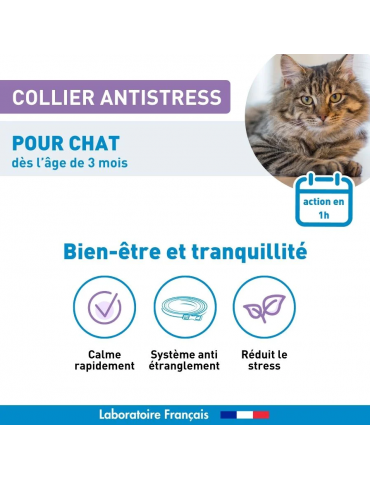 Vetoform Collier anti-stress pour CHAT