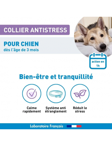 Description du produit collier calmant pour chien vetoform