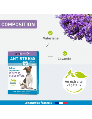 Composition du produit collier calmant pour chien vetoform