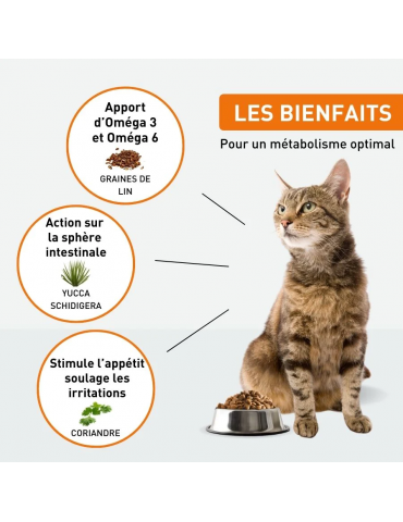 Description des croquettes vetonut chat adulte