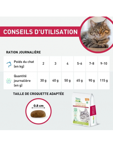 Conseils d'utilisation des croquettes Vetonut chat rénale