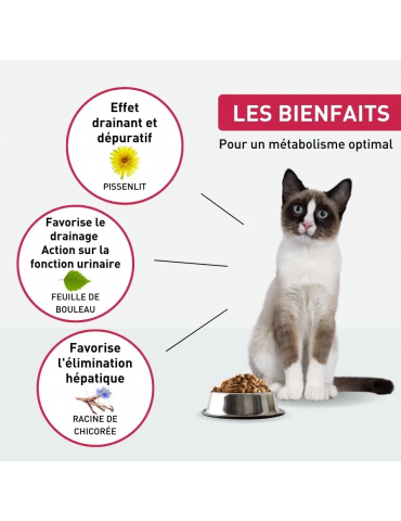 Description des croquettes Vetonut chat rénale