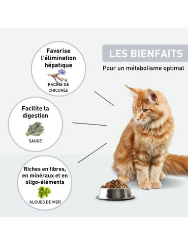 Description des croquettes Vetonut chat stérilisé