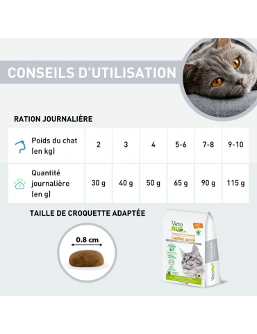 Conseils d'utilisation des croquettes Vetonut chat surpoids