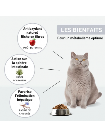 Description des croquettes Vetonut chat surpoids