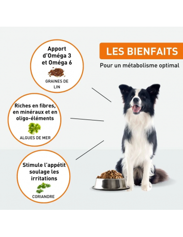 Description des croquettes Vetonut chien adulte