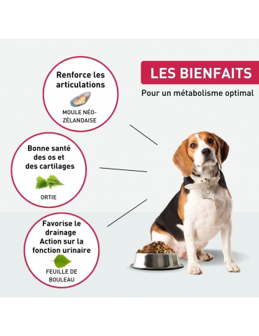 Description des croquettes Vetonut chien articulation