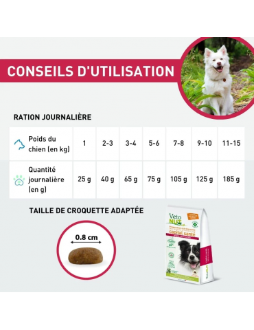 Conseils d'utilisation des croquettes Vetonut chien articulation