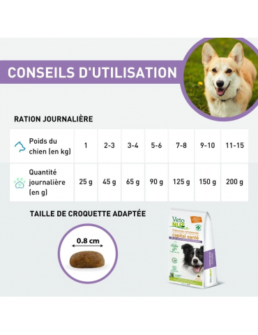 Conseils d'utilisation des croquettes Vetonut pour chien hypoallergénique