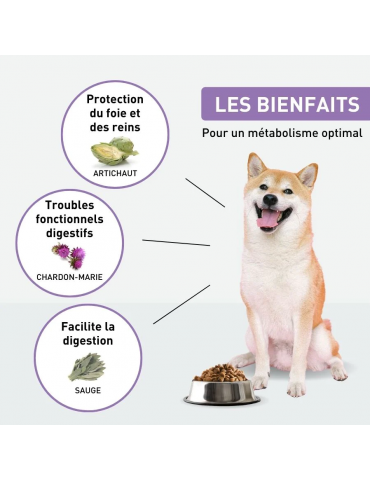 Description des croquettes Vetonut pour chien hypoallergénique