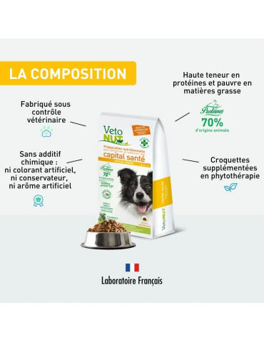 Composition des croquettes Vetonut chien senior