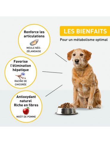 Description des croquettes Vetonut chien senior