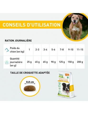 Conseils d'utilisation des croquettes Vetonut chien senior