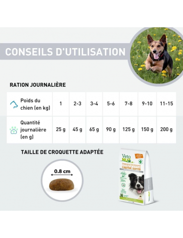 Conseils d'utilisation des croquettes Vetonut chien stérilisé-surpoids