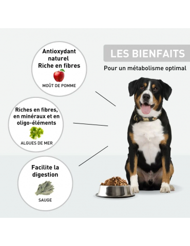 Description des croquettes Vetonut chien stérilisé-surpoids