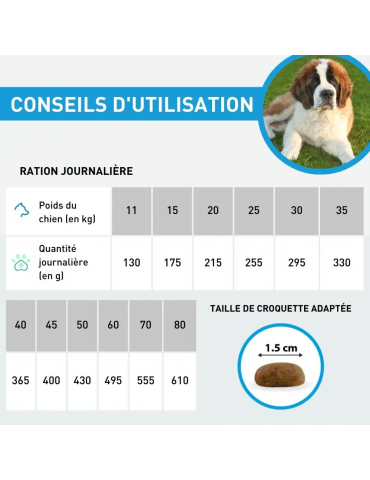 Conseils d'utilisation des croquettes grand chien articulation ou senior