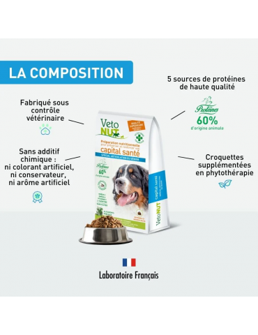 Composition des croquettes grand chien articulation ou senior