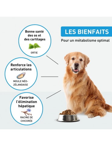 Description des croquettes grand chien articulation ou senior