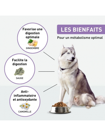 Description des croquettes vetonut grand chien digestion ou hypoallergénique