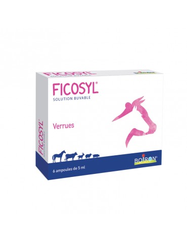 Boîte de Ficosyl Boiron