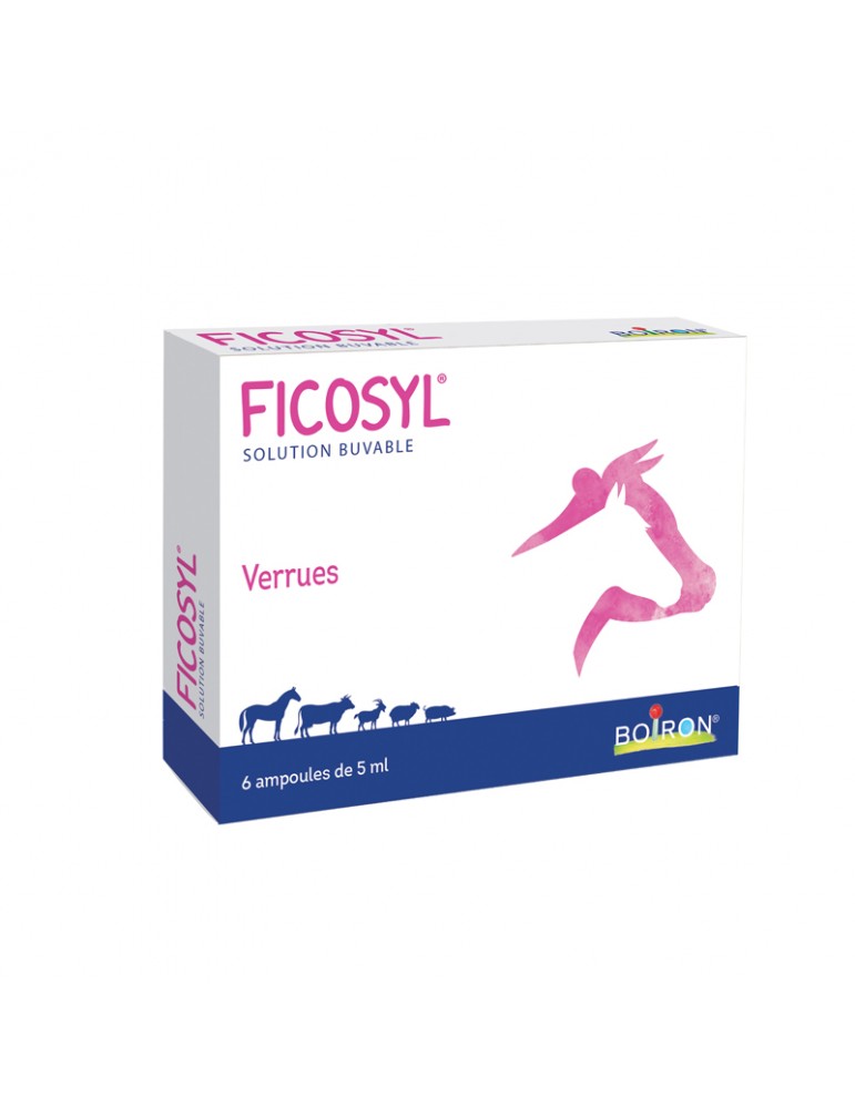 Boîte de Ficosyl Boiron Boîte de Ficosyl Boiron