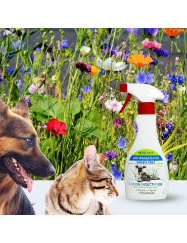 Chien et chat qui regarde en direction du produit lotion insectifuge en spray vetoform