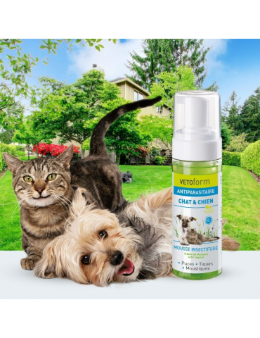 Chien et chat à côté du produit Mousse Insectifuge Vetoform