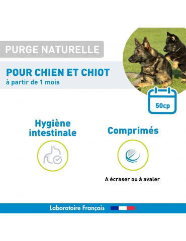 Description du produit purge naturelle chien Vetoform en comprimés